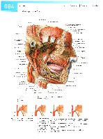 Sobotta Atlas of Human Anatomy  Head,Neck,Upper Limb Volume1 2006, page 91
